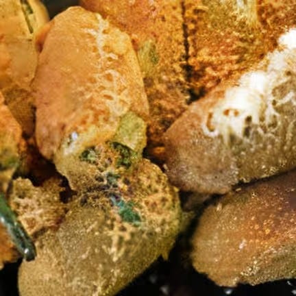 Jalapeno Poppers (10).