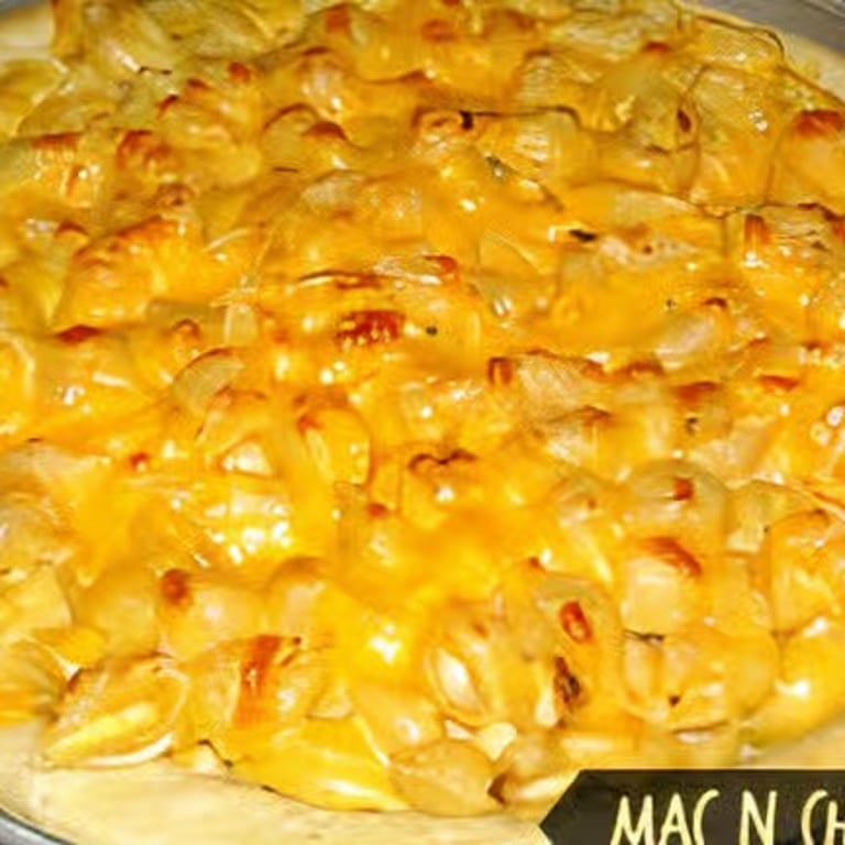 Delicious Cheese Pizza Options